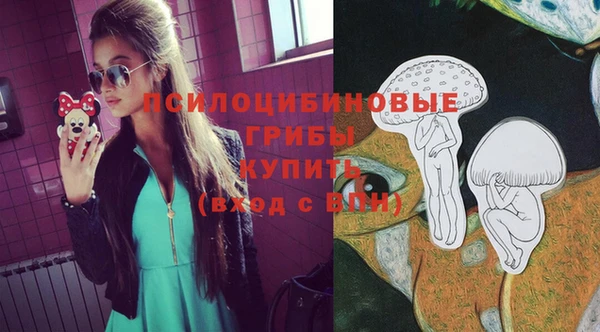 дурь Алексеевка