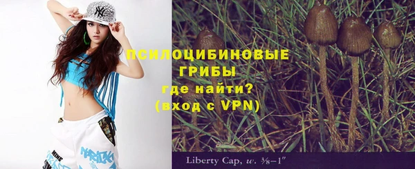 дурь Алексеевка