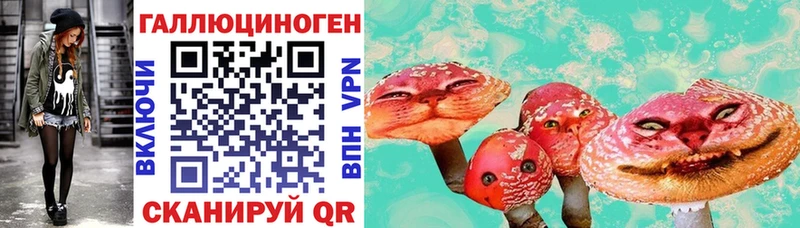 blacksprut как войти Боровичи Псилоцибиновые грибы мицелий